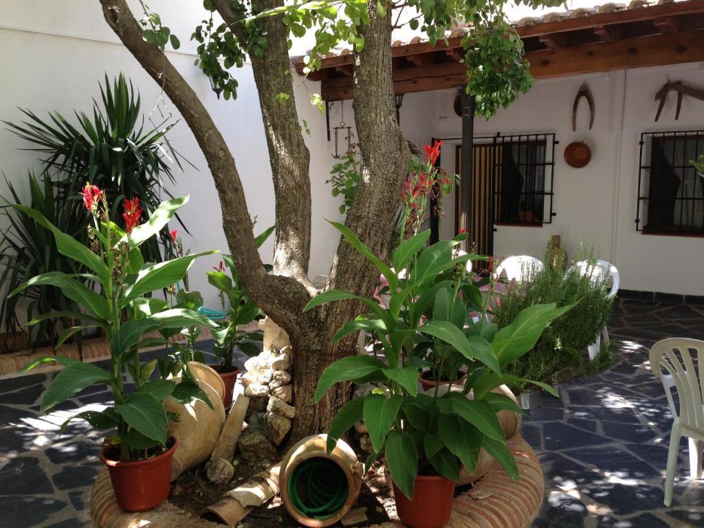Casa Rural El Rincon Del Infante Villa de Don Fadrique Bagian luar foto